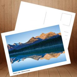 کارت پستال جهان زیبا کد 4541